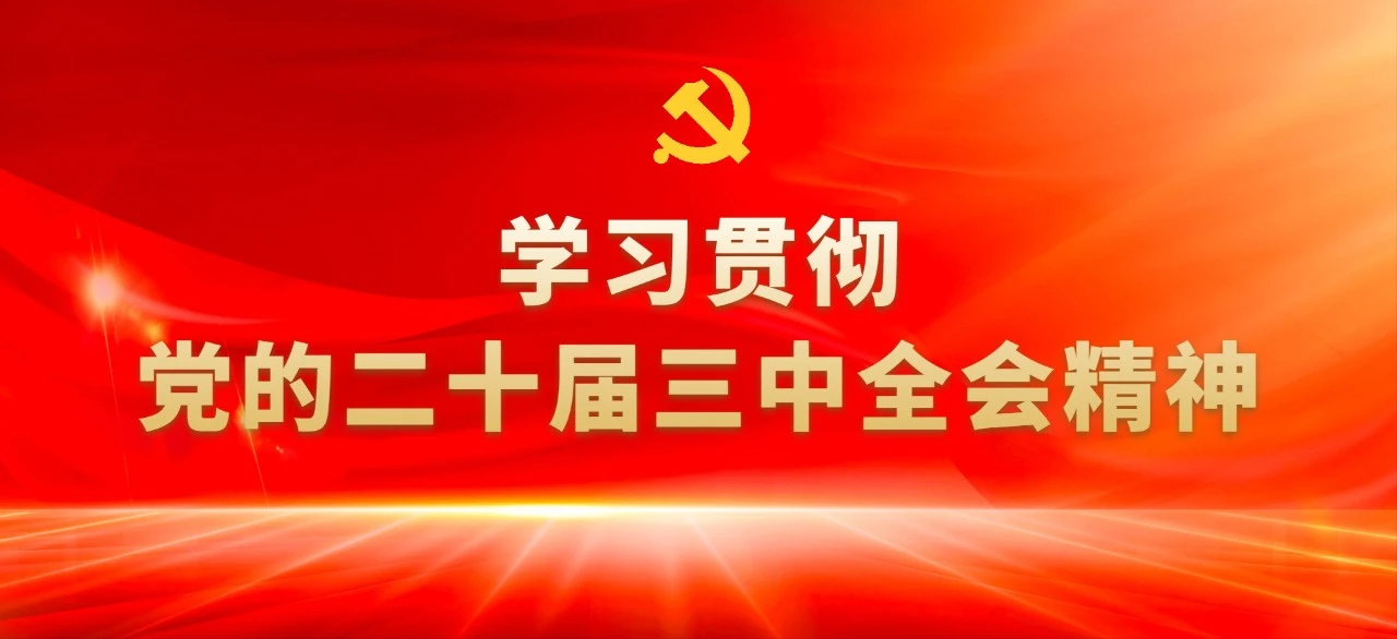 读懂党的二十届三中全会⑤：8组“开放热词”背后的知识点